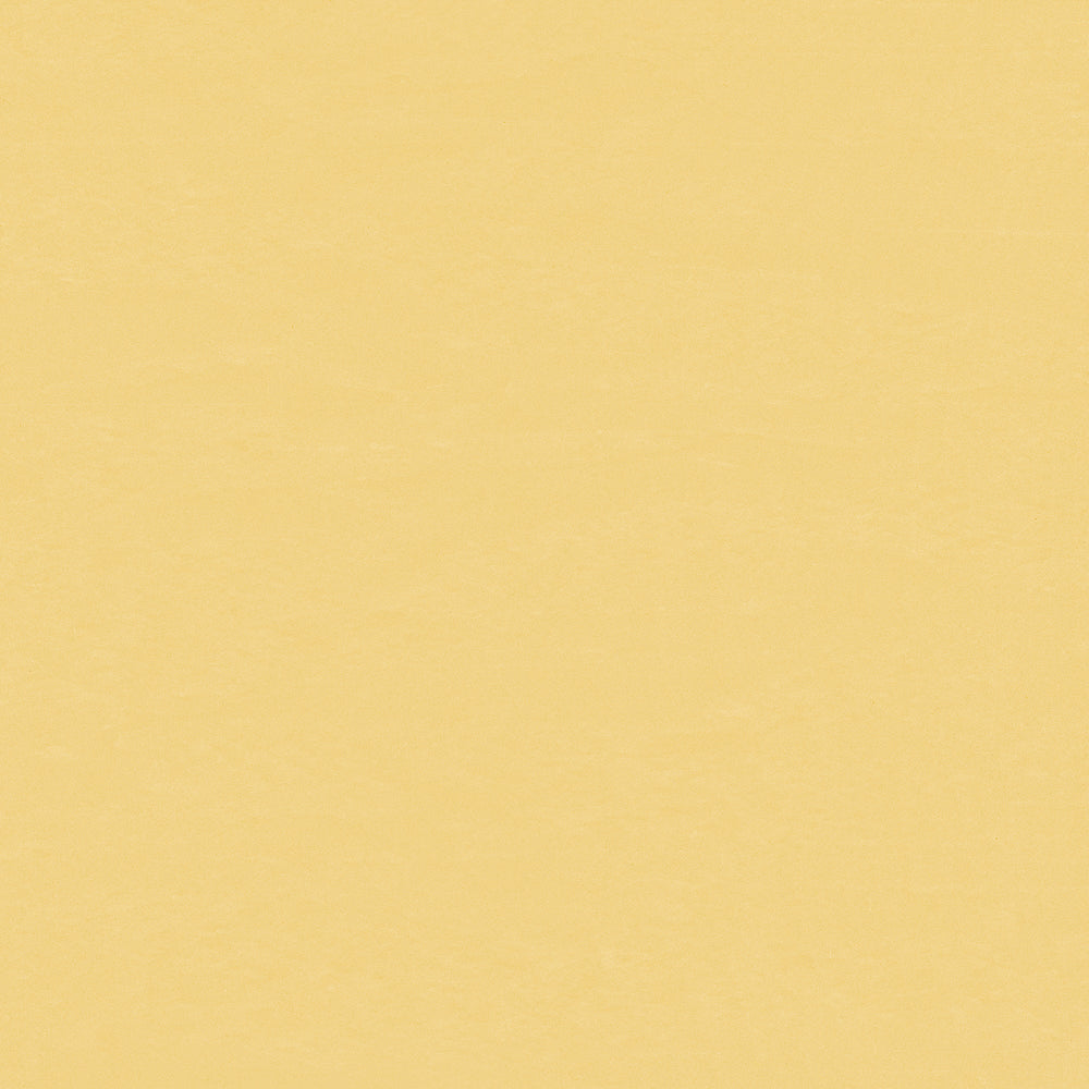 Wallflex | Dandelion
