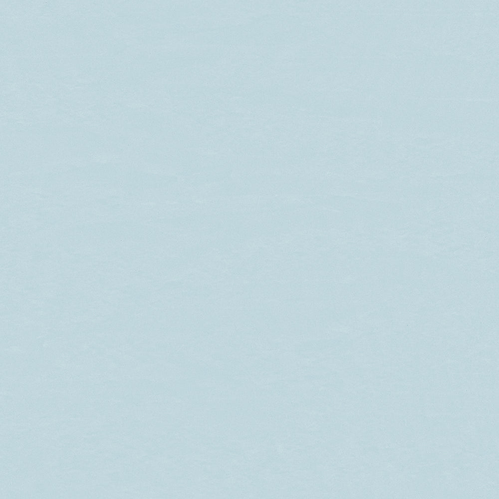 Wallflex | Glacier