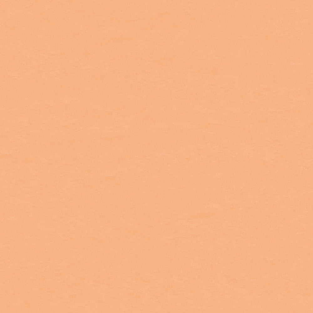 Wallflex | Melon