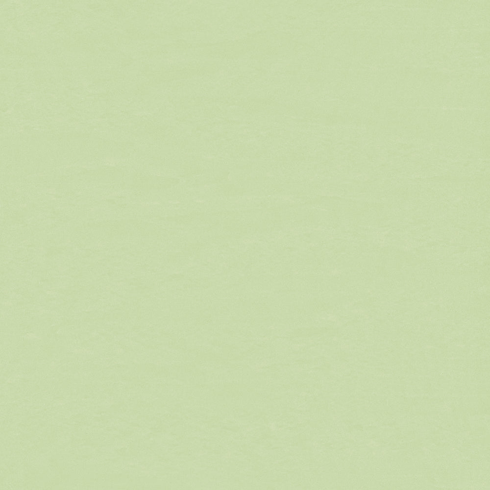 Wallflex | Wasabi