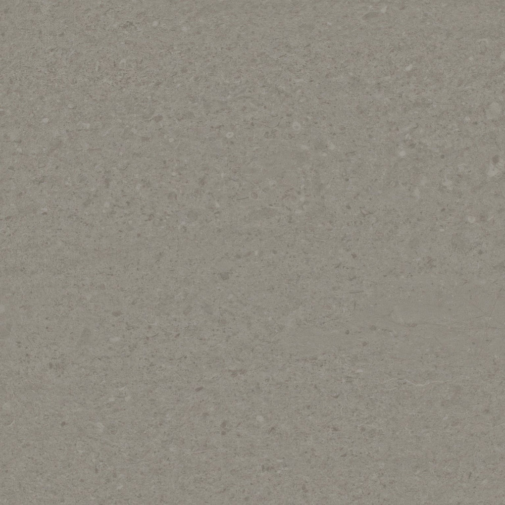 Natural Creations EarthCuts | Polished Concrete - Light Grey 500