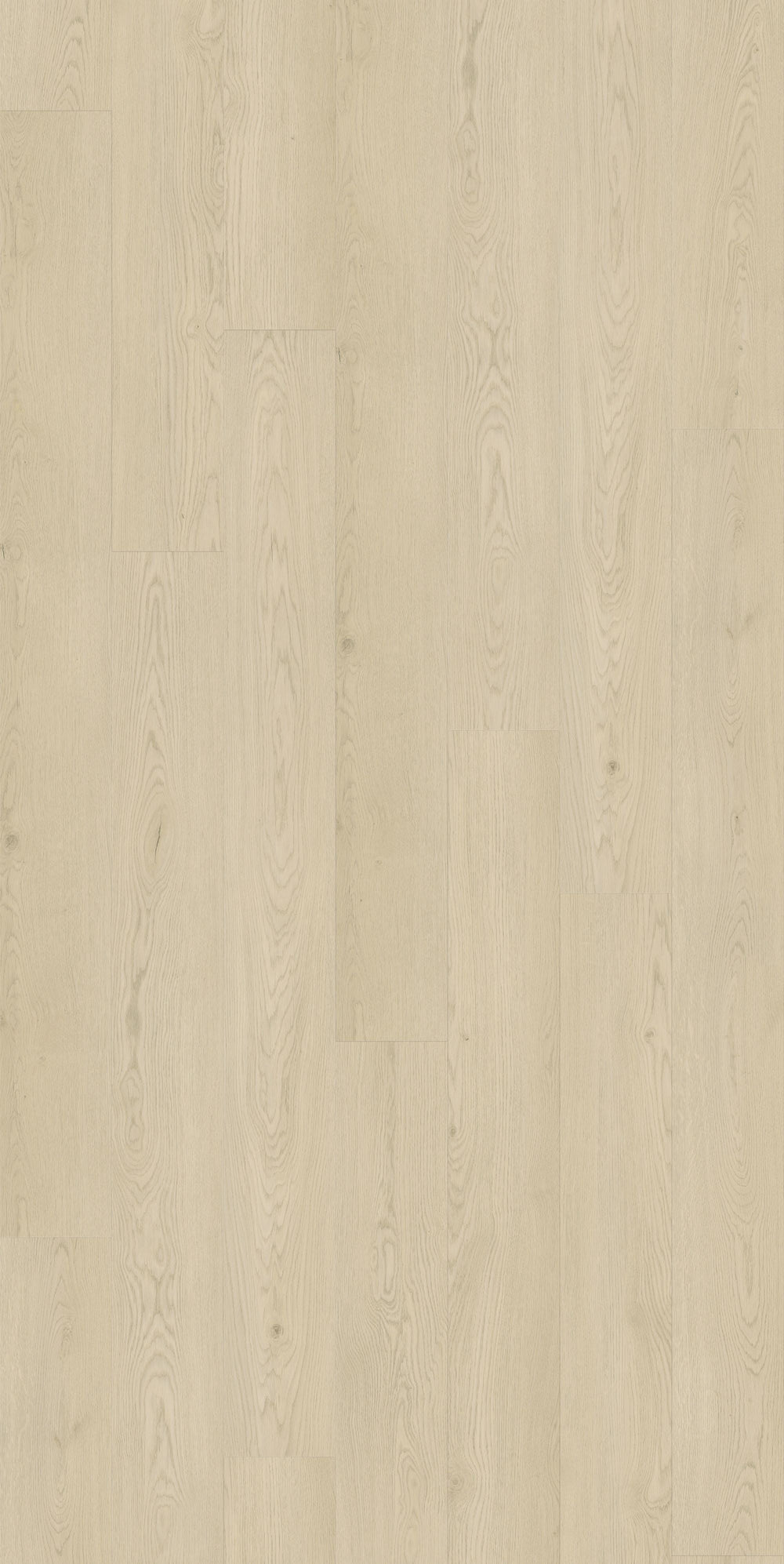 Kingswood Select Oak | Chardonnay Oak