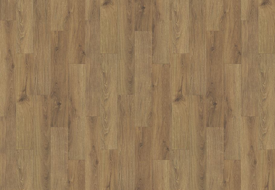 Timberline Plus | Luci