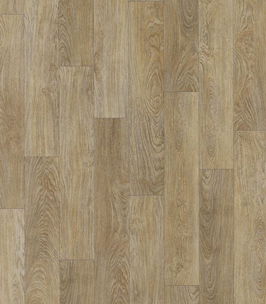 Timberline Plus | Solu