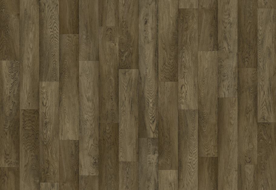Timberline Plus | Well Versed