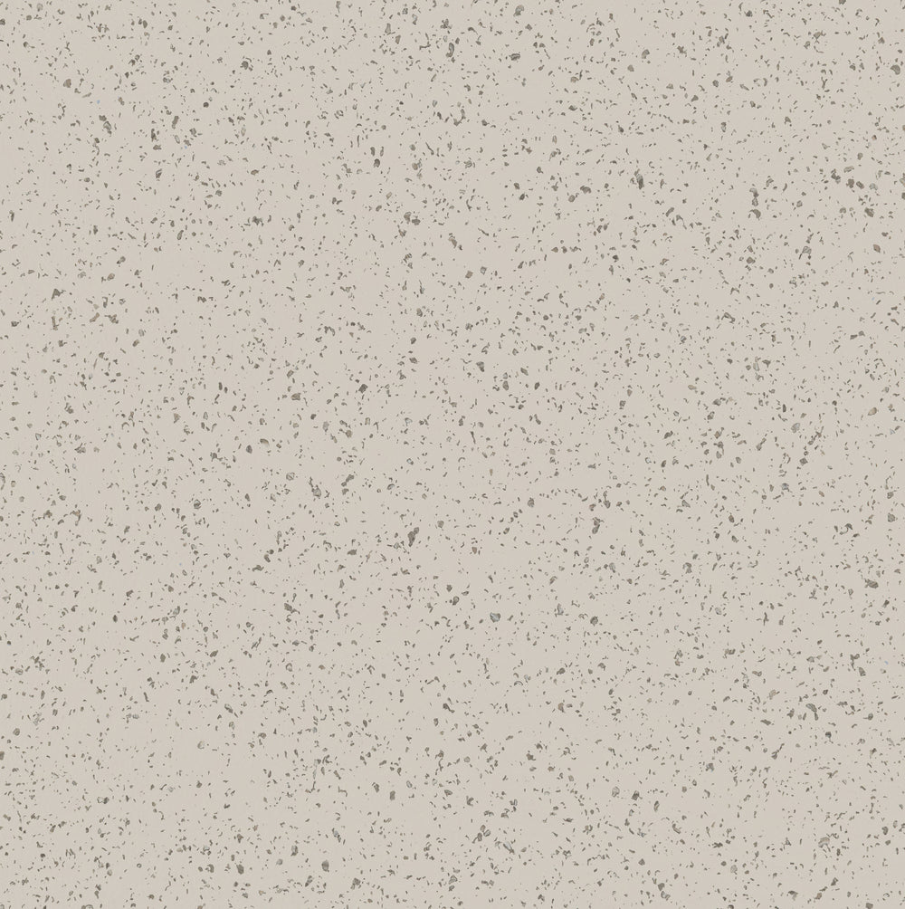 Lovora | Coastal Shell