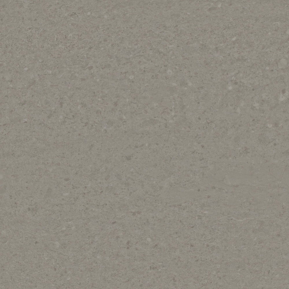 Natural Creations EarthCuts | Polished Concrete - Light Grey 500