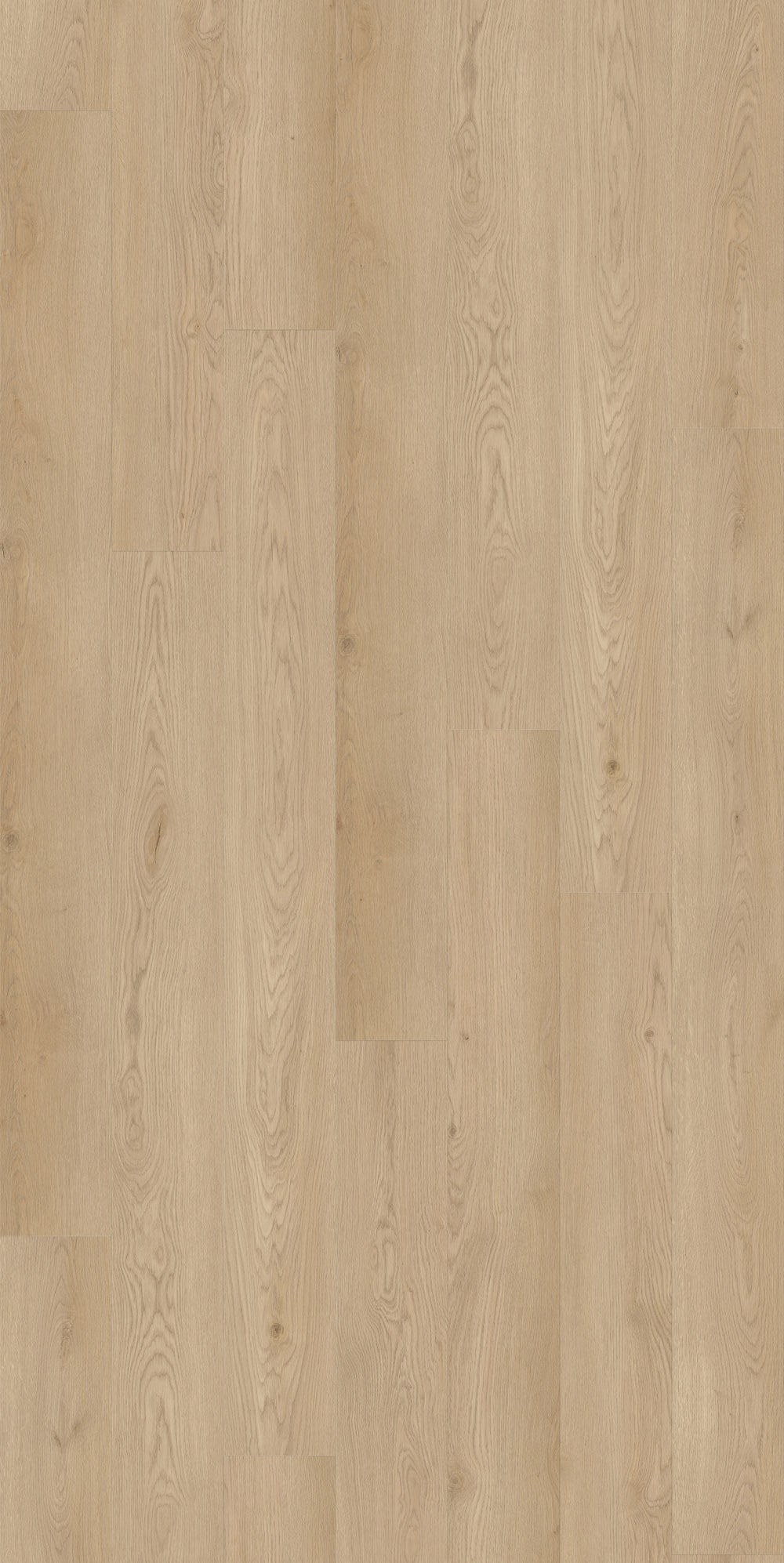 Kingswood Select Oak | Jamieson Oak