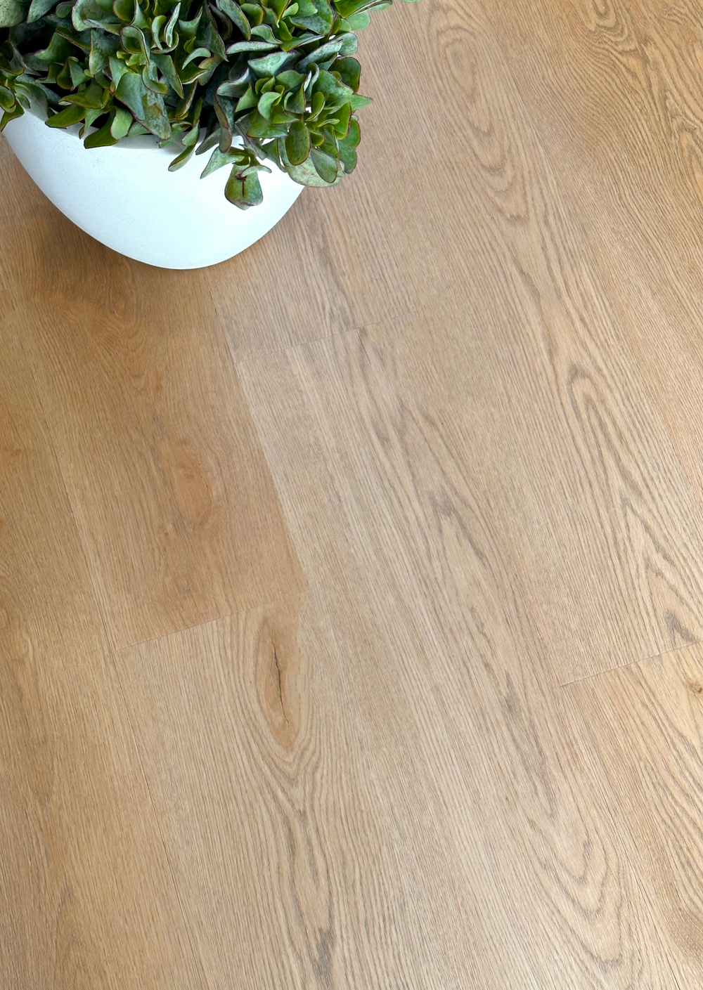 Kingswood™ Select Oak